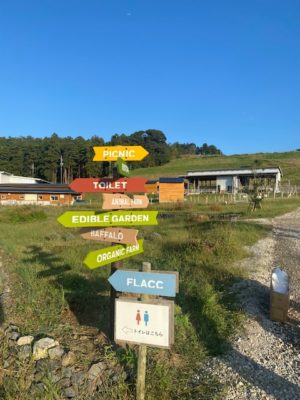 木更津_クルックフィールズ